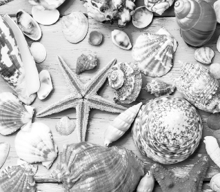 Material descargable adaptado. Unidad 6