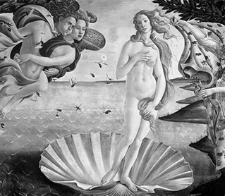 Propuesta didáctica. Unidad 8