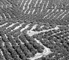 Propuesta didáctica. Unidad 2