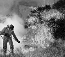 Propuesta didáctica. Unidad 6