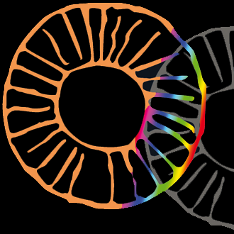 Logotipo de la colección OJOS SOLARES